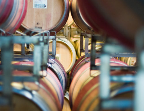 Wine Tasting – Novelty Hill Januik Barrel Room