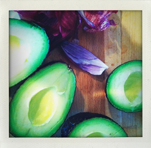 Seattle's Best Photography Classes - iPhone Photography Class